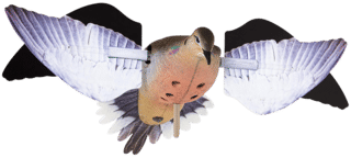 Avian X Powerflight Dove moving Decoy features multiple mounting options